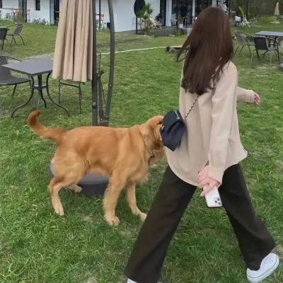 囧爸